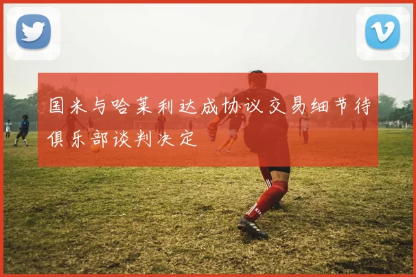 国米与哈莱利达成协议交易细节待俱乐部谈判决定