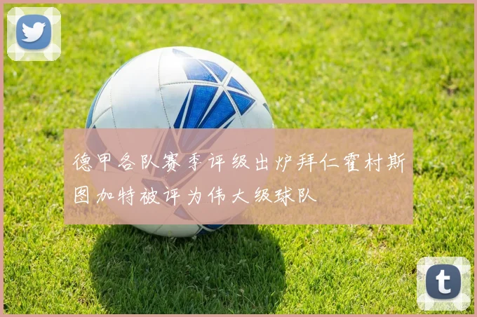 德甲各队赛季评级出炉拜仁霍村斯图加特被评为伟大级球队